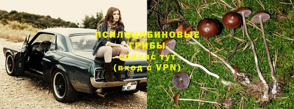 гидропоника Бугульма