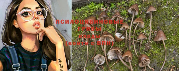 гидропоника Бугульма