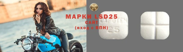 2c-b Бородино