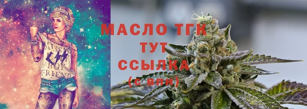 2c-b Бородино