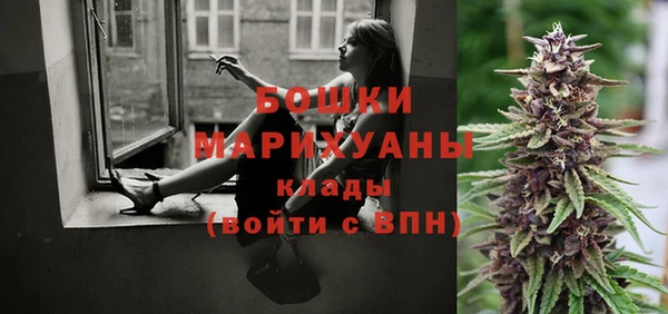 2c-b Бородино