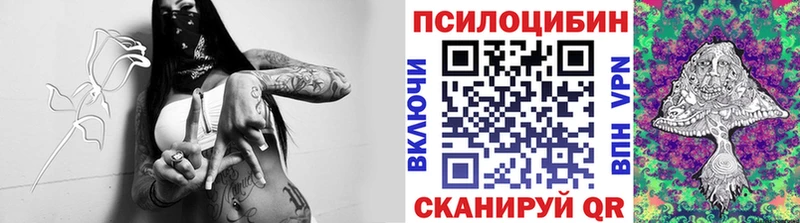 Галлюциногенные грибы Psilocybine cubensis кракен маркетплейс Бугуруслан